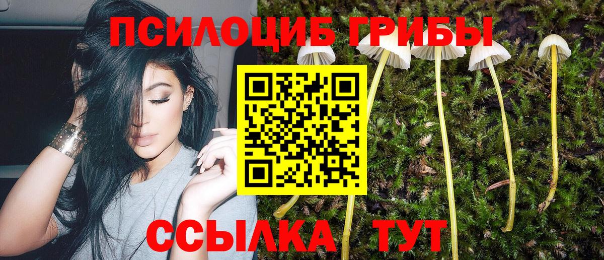 Арсеньев  Псилоцибиновые грибы Magic Shrooms  Вход с VPN 