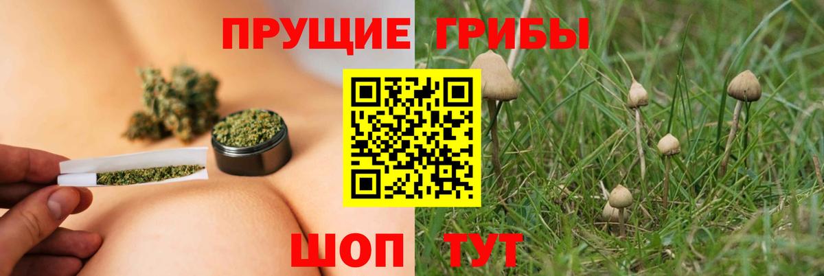 Псилоцибиновые грибы GOLDEN TEACHER Арсеньев